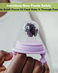 Silicone Baby Food Feeders + Freezer Tray for Batch Prep, Set of 2, Introduce New Foods Safely, Double as Silicone Teething Toys, Includes 2 Extra Food Pouches & Travel Lids, Dishwasher Safe